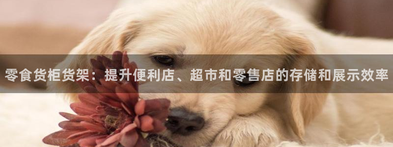 杏运体育官网