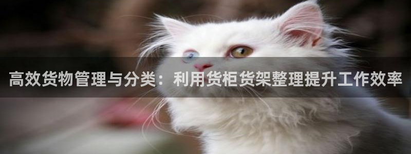 杏运体育app下载安装