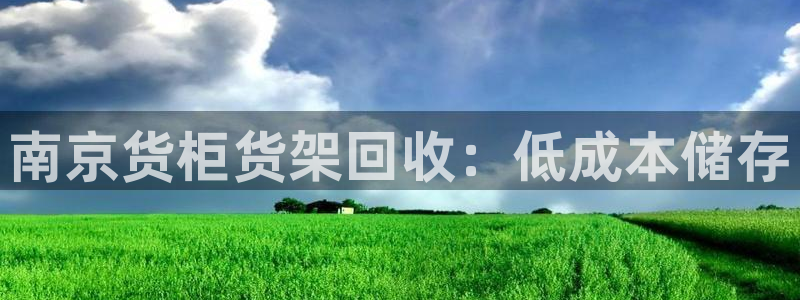 杏运汽车招商