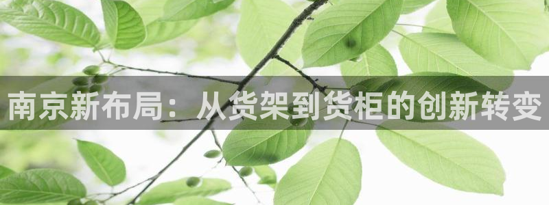 杏运相伴