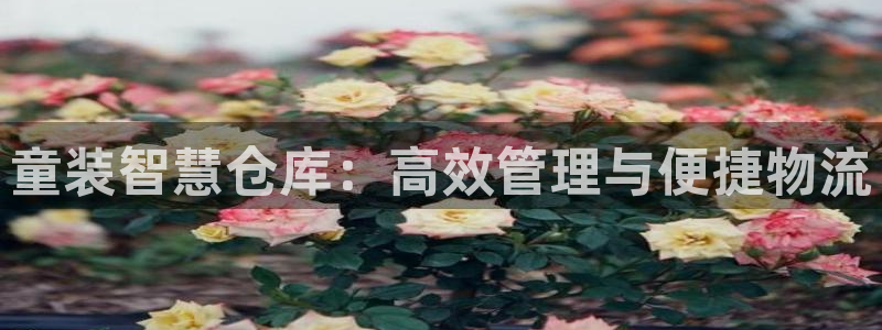 杏运注册