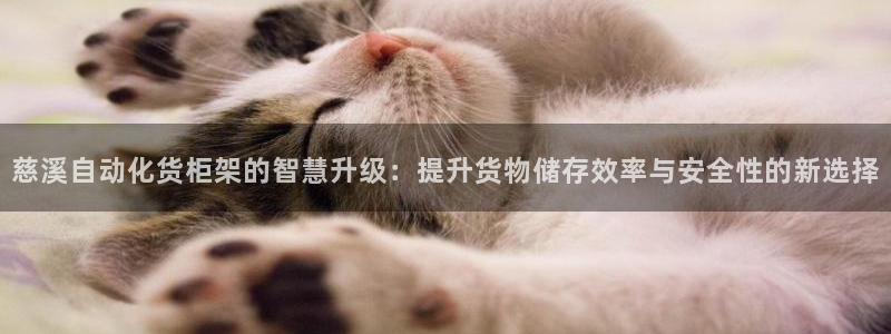 杏运注册登录