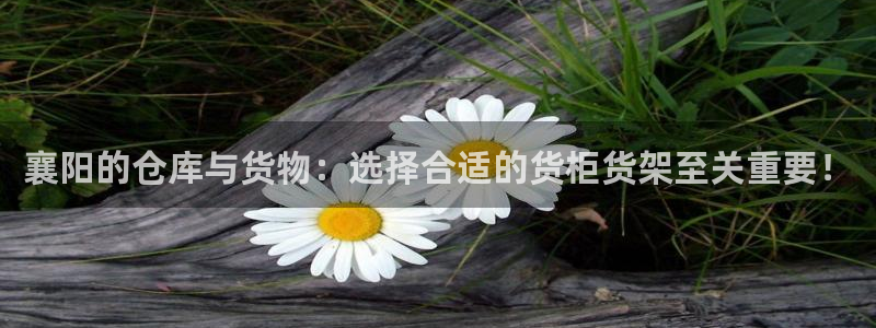 杏运平台官网