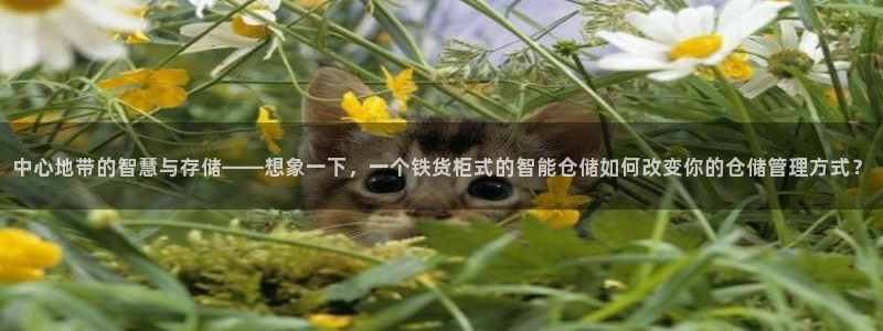 杏运体育怎么样