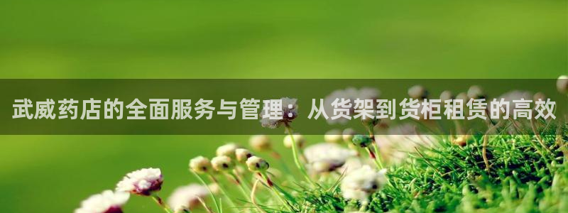 杏运汽车招商