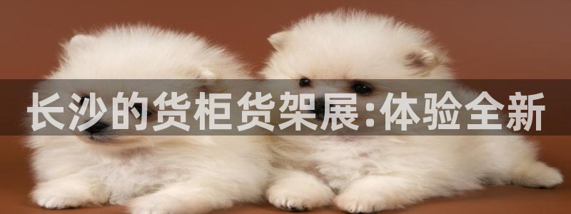 杏运注册登录：长沙的货柜货架展:体验全新