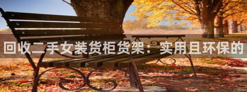 杏运代理：回收二手女装货柜货架：实用且环