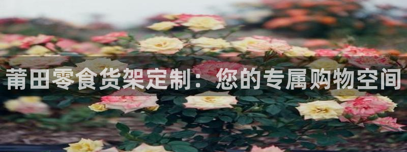杏运体育app下载安装手机版：莆田零食货