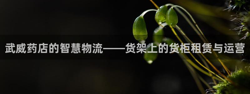 杏运体育网