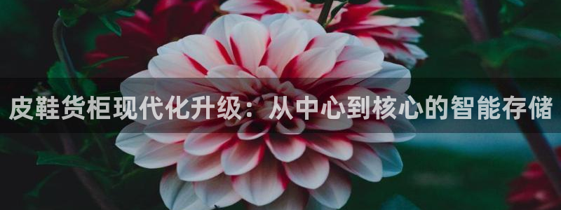 杏运体育