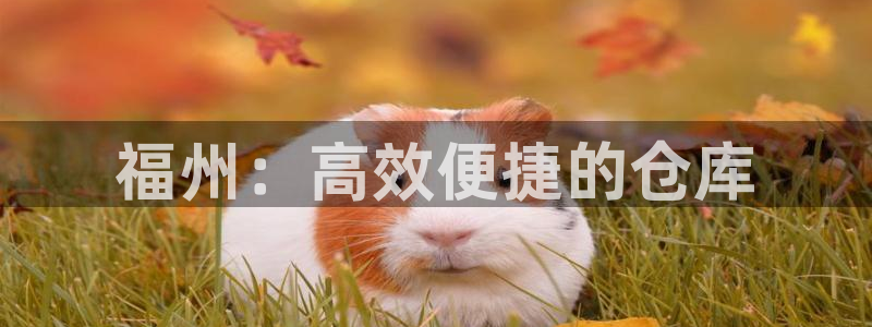 杏运汽车
