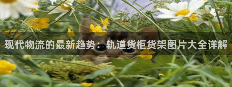 杏运体育官方网址登录