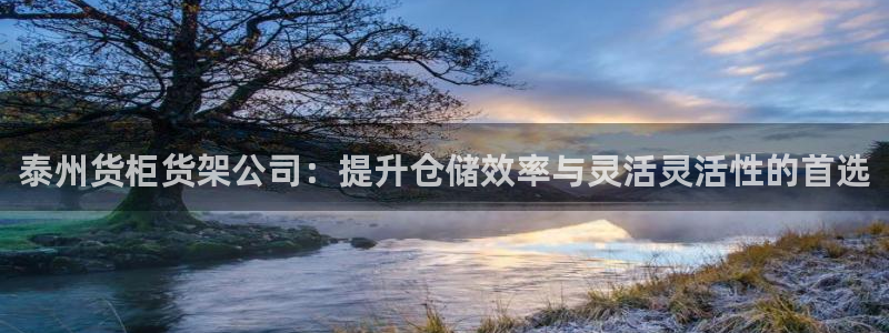 杏运体育娱乐：泰州货柜货架公司：提升仓储