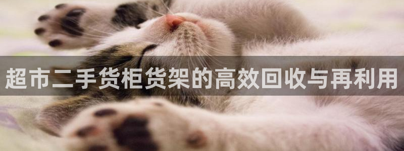 杏运体育官方网址