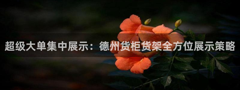 杏运娱乐平台注册地址在哪里