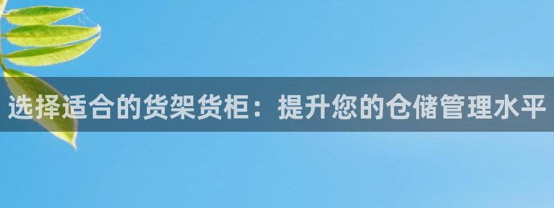 杏运平台代理：选择适合的货架货柜：提升您