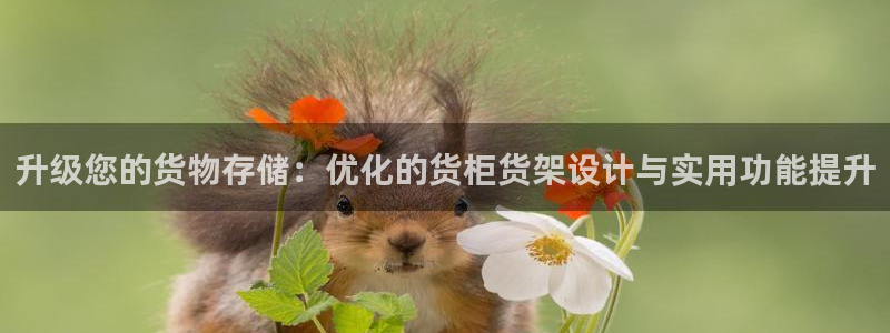 杏运登录