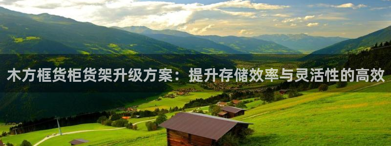 杏运体育官方网址：木方框货柜货架升级方案