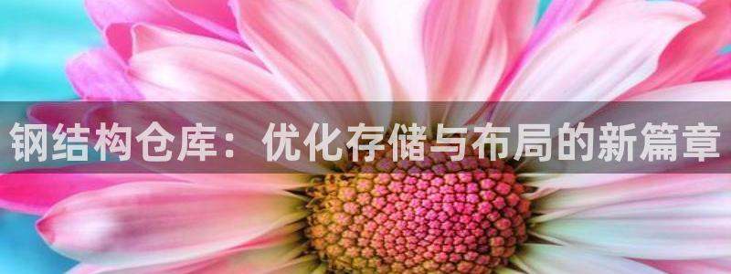 杏运汽车招商