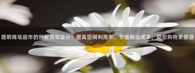 杏运登录：昆明商场超市的创新货架设计：提