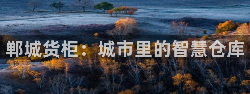 杏运娱乐平台注册地址在哪里：郸城货柜：城