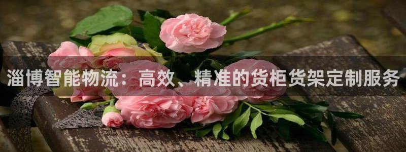 杏运汽车招商