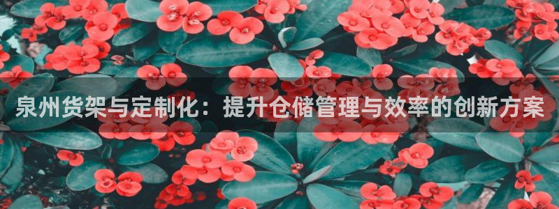 杏运体育平台正规吗安全吗