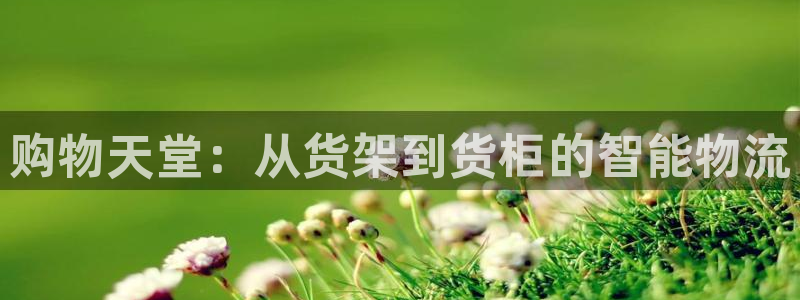 杏运汽车