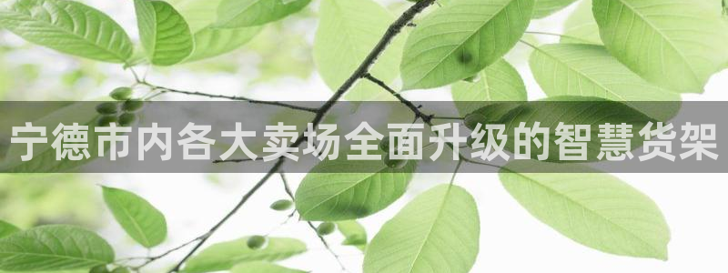 杏运平台官网