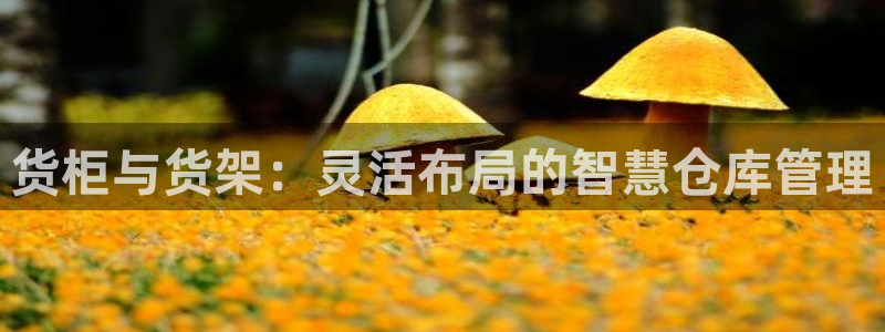 杏运平台官方网站